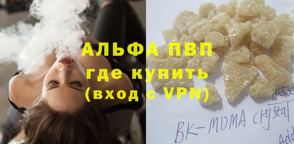 индика Абаза