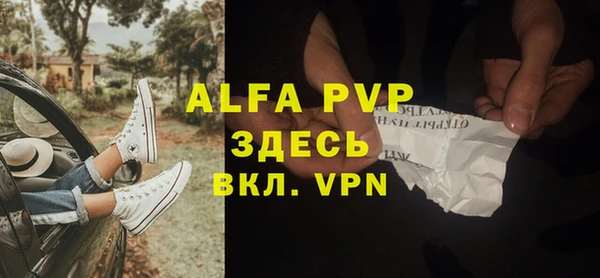 индика Абаза