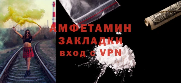 индика Абаза