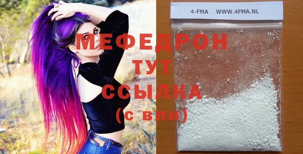 индика Абаза