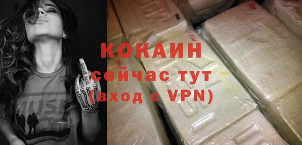 индика Абаза