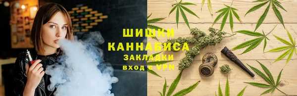 индика Абаза