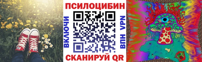 хочу   Калач  даркнет телеграм  Псилоцибиновые грибы Psilocybe  blacksprut ССЫЛКА 
